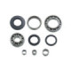 Bronco Differential Bearing & Seal Kit Kawasaki