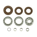 Bronco Differential Bearing & Seal Kit