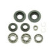 Bronco Differential Bearing & Seal Kit