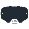 Leatt Lens Smoke 34%