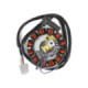 TNT Stator, Moric-model, Minarelli AM6 07- PowerUP, 12-pole