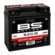 BS Battery  SLA12-20 (FA) Lawn & Garden Series