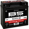 BS Battery  SLA12-20 (FA) Lawn & Garden Series