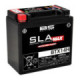 BS Battery  BTX14H (FA) SLA MAX - Sealed & Activated