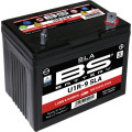 BS Battery  SLA U1R-9 Lawn & Garden Series