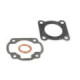 Airsal Gasket set  (301-1009)