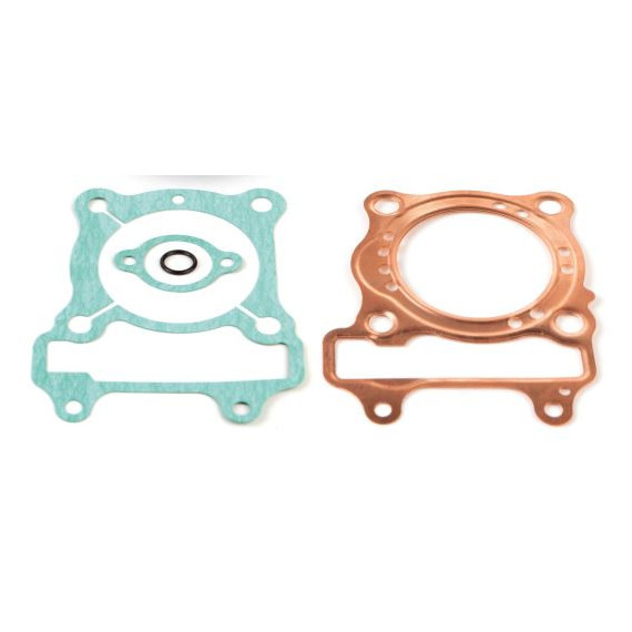 Airsal Gasket set (301-1041)