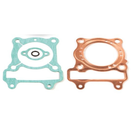 Airsal Gasket set (301-1041)