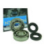 Naraku HD Crank bearings & Oilseals, Derbi Senda -05/06- / Aprilia RX/RS 06-