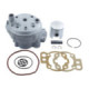 Airsal Cylinder kit & Head, 70,5cc, Minarelli AM6