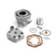 Airsal Cylinder kit & Head, 72,4cc, Derbi Senda -05