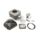 Airsal Cylinder kit & Head, 69,7cc, Peugeot Vertical AC