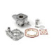 Airsal Cylinder kit & Head, 50cc, Peugeot Horizontal LC