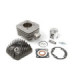 Airsal Cylinder kit & Head, 50cc, Peugeot Vertical AC