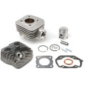 Airsal Cylinder kit & Head, 69,7cc, Peugeot Horizontal AC