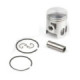 Airsal Piston ring set (301-9025)