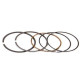 Airsal Piston ring set (301-9040)