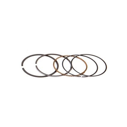 Airsal Piston ring set (301-9040)