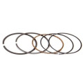 Airsal Piston ring set (301-9040)