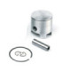 Airsal Piston kit (301-1001)