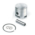 Airsal Piston kit (301-1001)