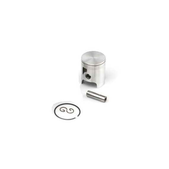 Airsal Piston kit (301-1003)