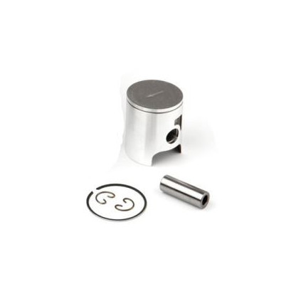 Airsal Piston kit (301-1004)