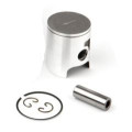 Airsal Piston kit (301-1004)