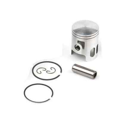 Airsal Piston kit (301-1009)