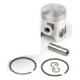 Airsal Piston kit (301-1010)