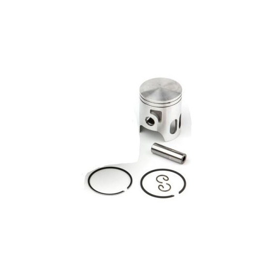 Airsal Piston kit (301-1010)