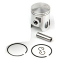 Airsal Piston kit (301-1010)