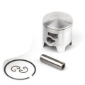 Airsal Piston kit (301-1011)