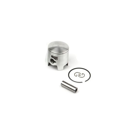 Airsal Piston kit (301-1012)