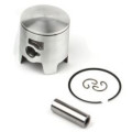 Airsal Piston kit (301-1012)