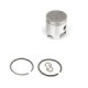 Airsal Piston kit (301-1014)