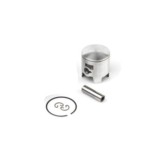 Airsal Piston kit (301-1017)