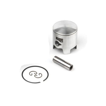 Airsal Piston kit (301-1017)