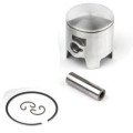 Airsal Piston kit (301-1017)