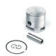 Airsal Piston kit (301-1018)