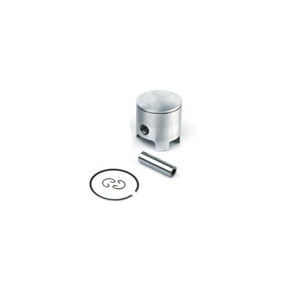 Airsal Piston kit (301-1018)