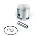 Airsal Piston kit (301-1018)