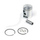 Airsal Piston kit (301-1021)