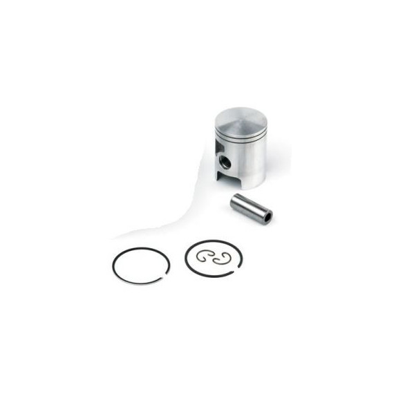 Airsal Piston kit (301-1021)