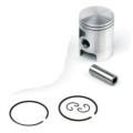 Airsal Piston kit (301-1021)