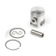 Airsal Piston kit (301-1027)