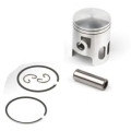 Airsal Piston kit (301-1028)