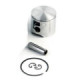 Airsal Piston kit (301-1034)