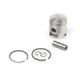 Airsal Piston kit (301-1035)