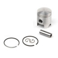 Airsal Piston kit (301-1036)